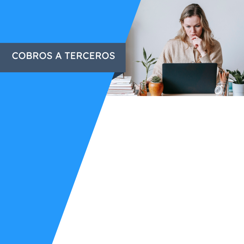 Cobros a terceros Cobros a terceros